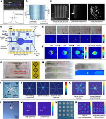 Cerenkov Luminescence Imaging in the Development and Production of Radiopharmaceuticals